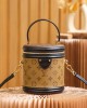 Louis Vuitton Cannes Bag with Gold Hardware