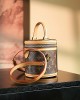 Louis Vuitton Cannes Nano Bag with Gold Hardware