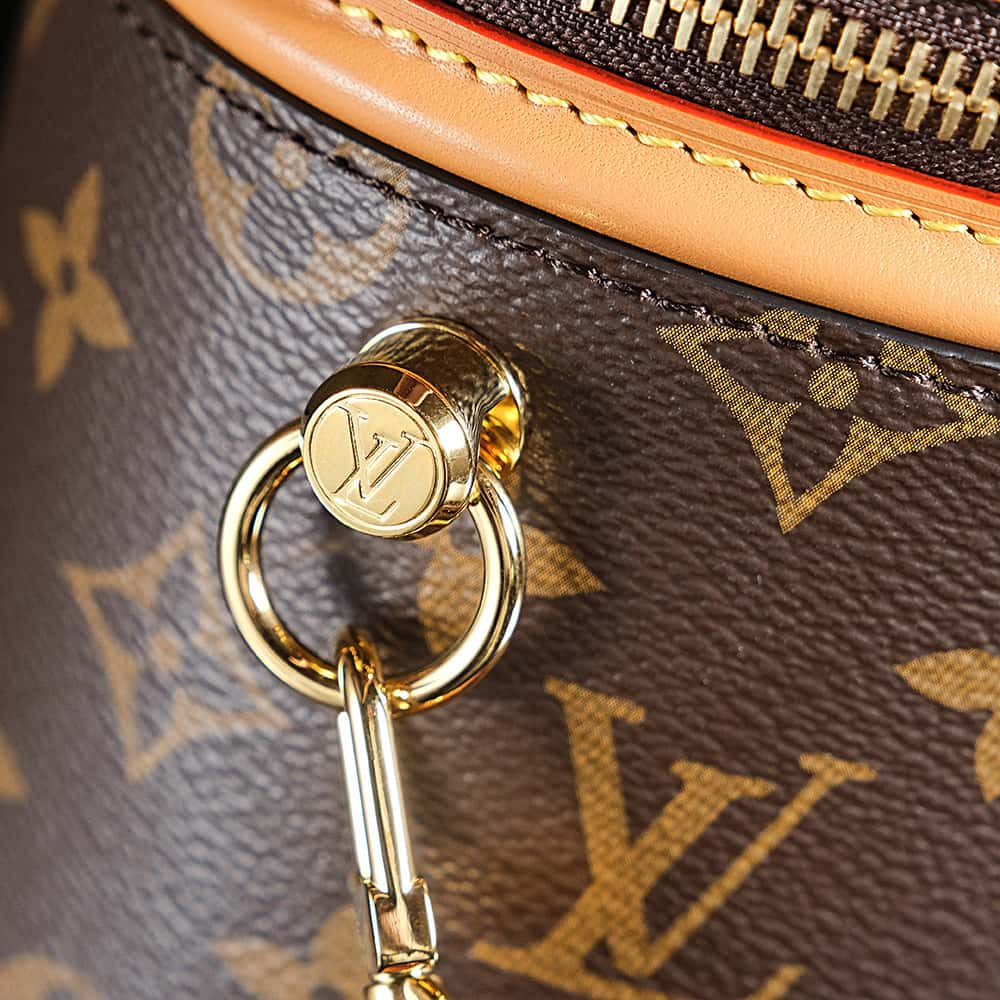 Louis Vuitton Cannes Nano Bag with Gold Hardware