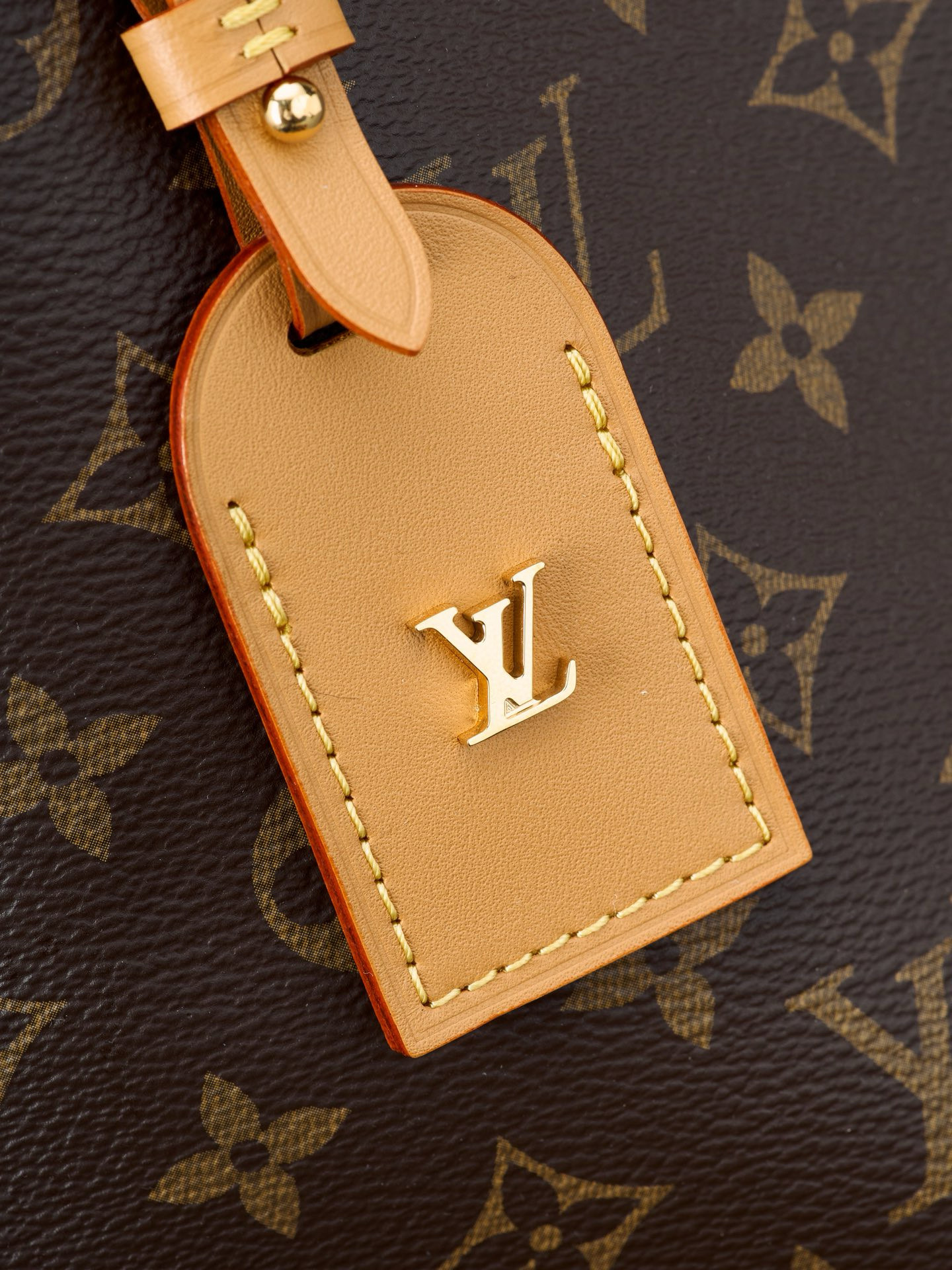 Louis Vuitton CarryAll PM Bag Monogram with Gold Hardware