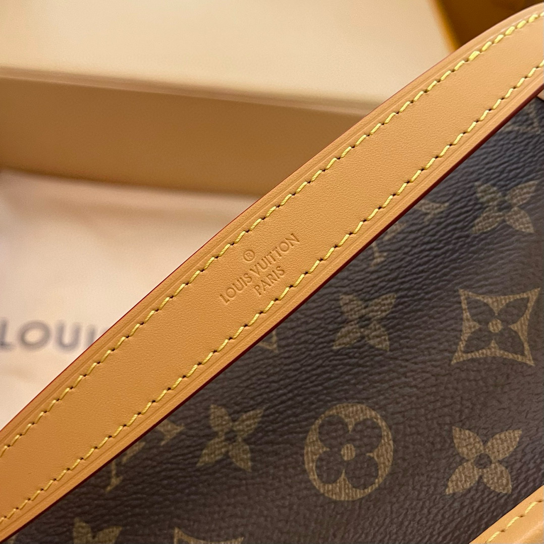 Louis Vuitton Diane Nano Baguette Bag Monogram with Gold Hardware