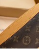 Louis Vuitton Diane Nano Baguette Bag Monogram with Gold Hardware