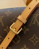 Louis Vuitton Diane Nano Baguette Bag Monogram with Gold Hardware