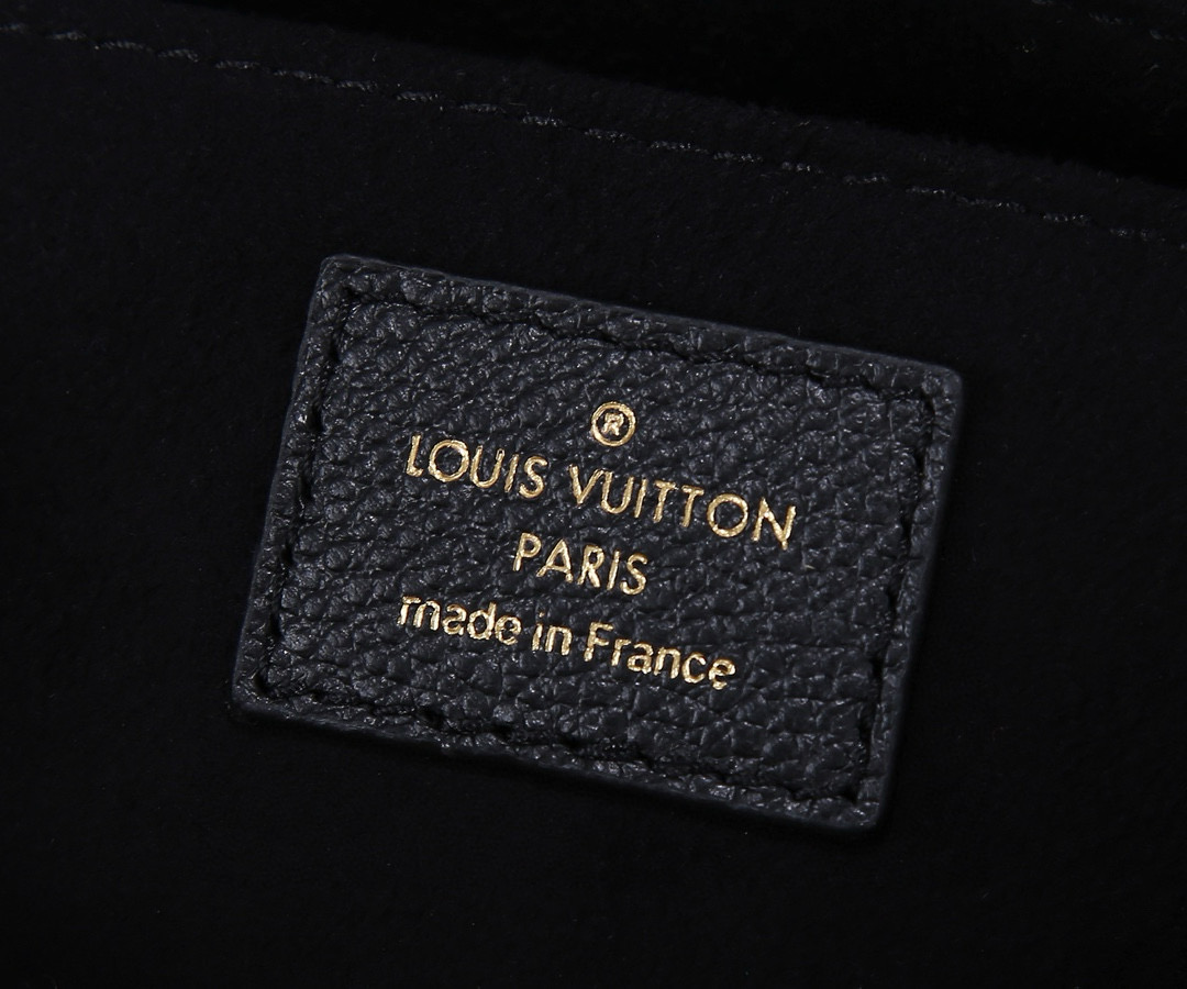 Louis Vuitton Favorite Bag Black with Gold Hardware