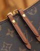 Louis Vuitton Loop Hobo Bag Monogram and Monogram Reverse with Gold Hardware