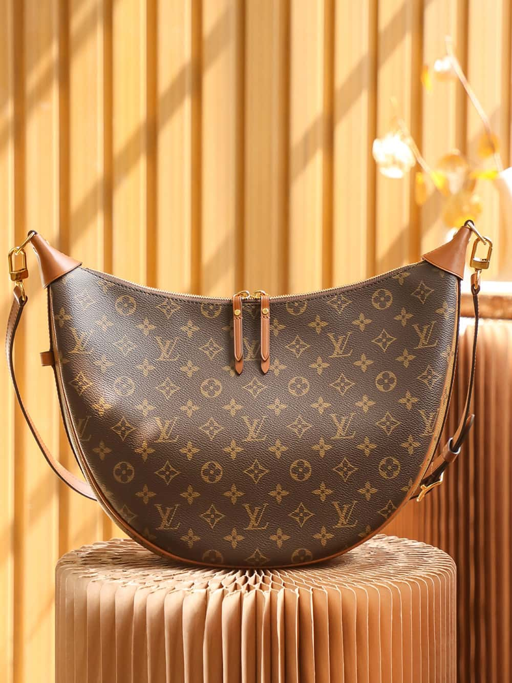 Louis Vuitton Loop Hobo Bag Monogram and Monogram Reverse with Gold Hardware