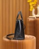 Louis Vuitton OnTheGo PM Bag Black with Gold Hardware