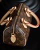 Louis Vuitton Speedy Bandoulière 20 Bag Monogram with Gold Hardware