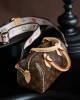 Louis Vuitton Speedy Bandoulière 20 Bag Monogram with Gold Hardware