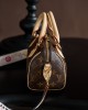 Louis Vuitton Speedy Bandoulière 20 Bag Monogram with Gold Hardware