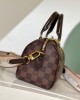 Louis Vuitton Speedy Bandoulière 20 Bag Damier Ebene with Gold Hardware