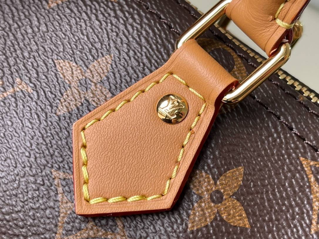 Louis Vuitton Speedy Nano Bag Monogram with Gold Hardware