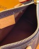 Louis Vuitton Speedy Nano Bag Monogram with Gold Hardware