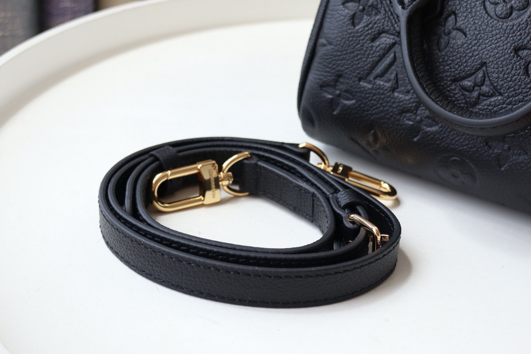 Louis Vuitton Speedy Nano Bag Black with Gold Hardware