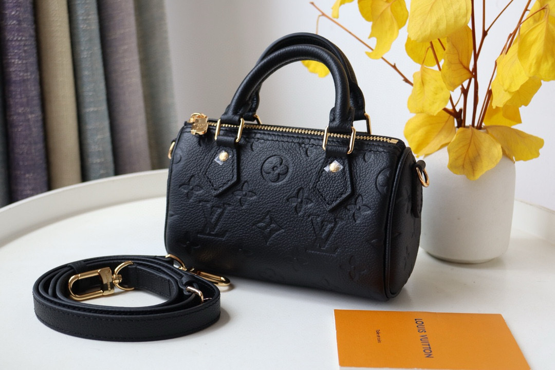 Louis Vuitton Speedy Nano Bag Black with Gold Hardware