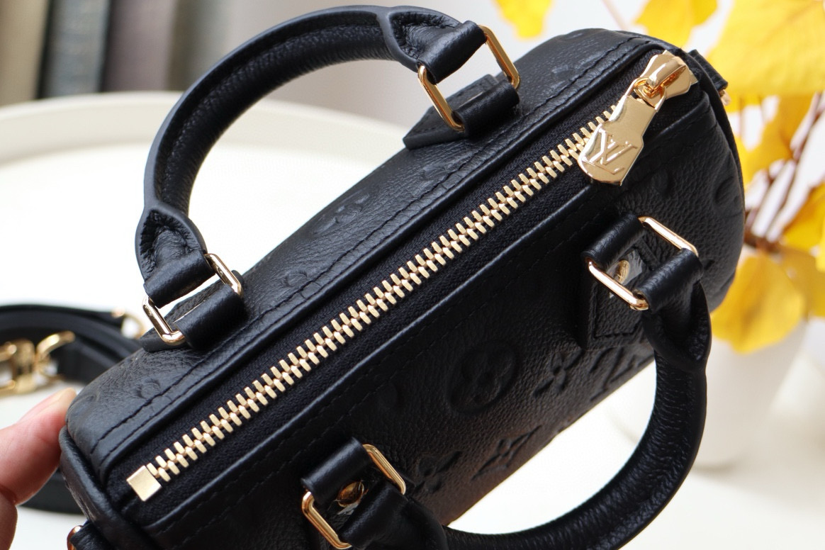 Louis Vuitton Speedy Nano Bag Black with Gold Hardware