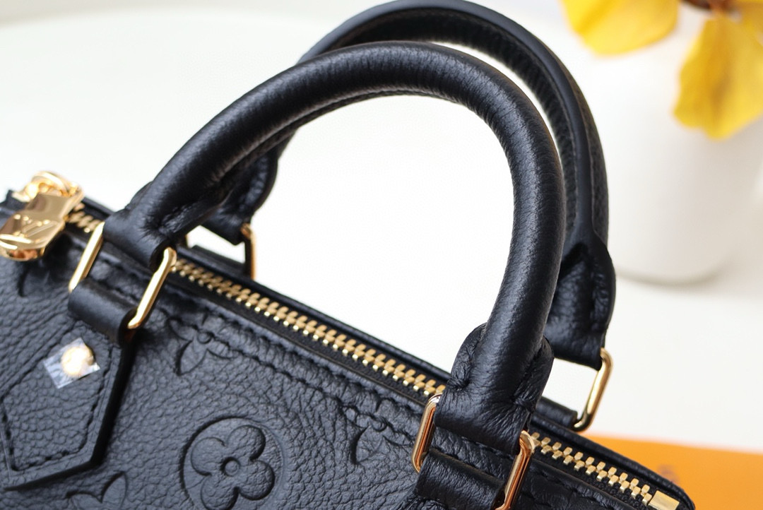 Louis Vuitton Speedy Nano Bag Black with Gold Hardware