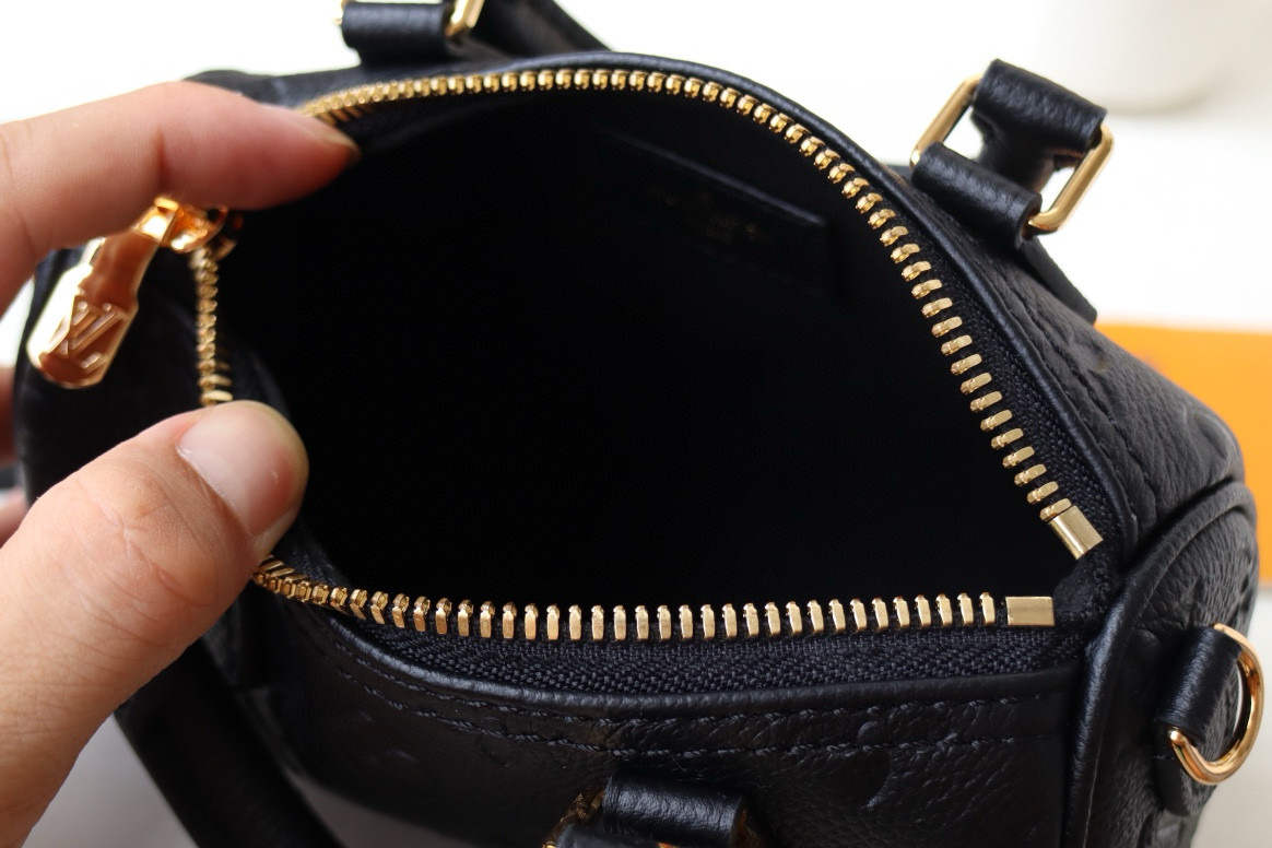 Louis Vuitton Speedy Nano Bag Black with Gold Hardware