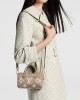 Louis Vuitton Speedy Nano Bag Dove/Cream with Gold Hardware