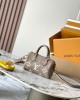 Louis Vuitton Speedy Nano Bag Dove/Cream with Gold Hardware